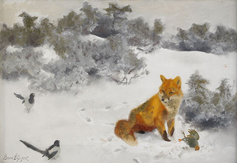 Fox in Winter Landscape